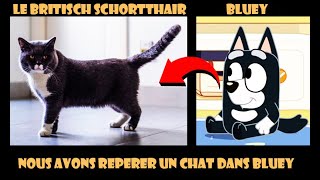 Nous avons trouver un chat dans Bluey | PopulAnimation