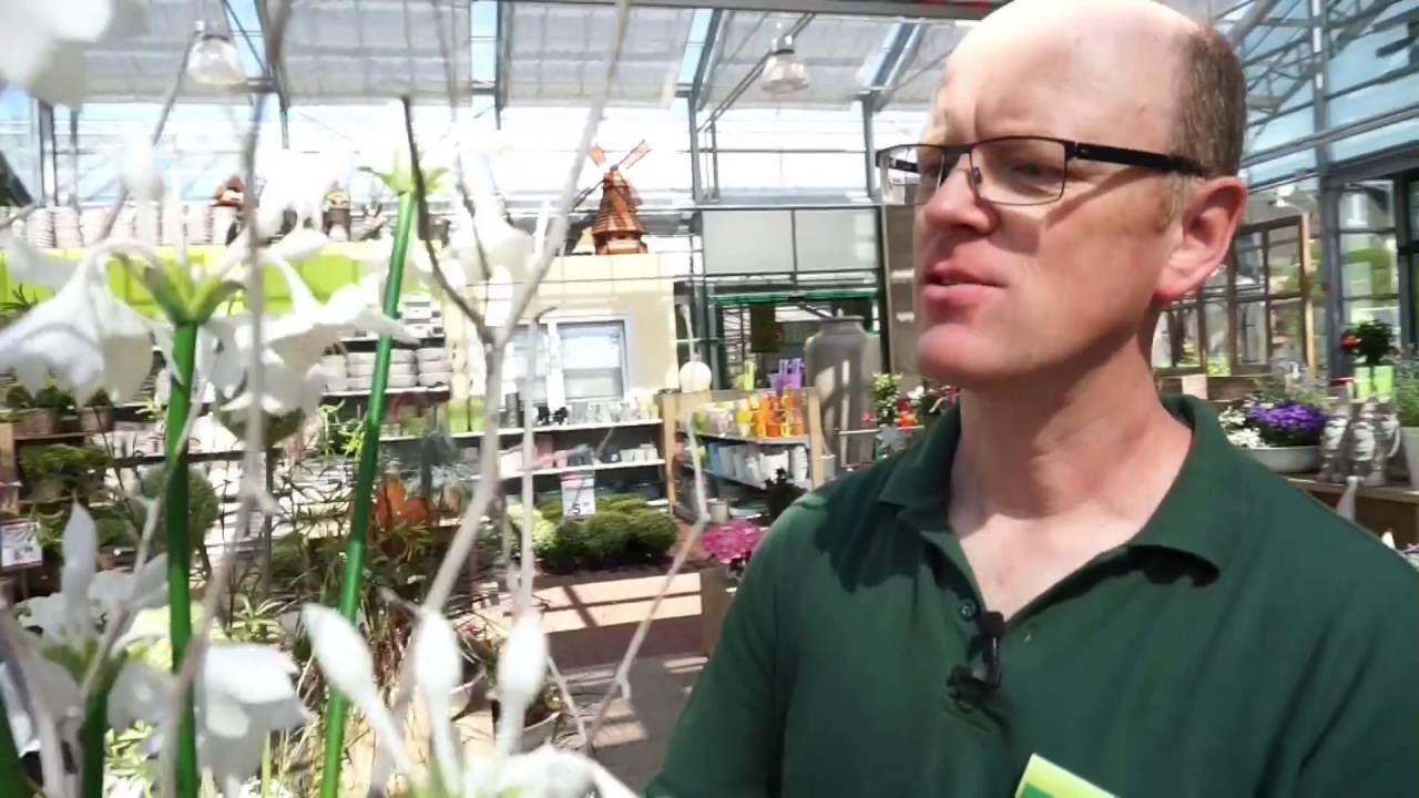 Moderne Zimmerdeko mit Sukkulenten