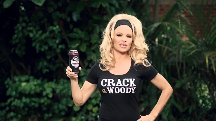 IL Pamela Anderson in Born in the U S A  advert