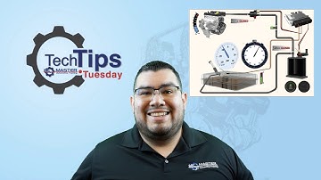 MASTER THE EVAP SYSTEM BASICS 🤓