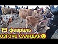 СААН Уйдун Жакшысы КОП 🤨19 февраль  Джалал-Абад