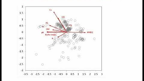 Impacts of Biochar Amendments on Soil Microbial Community Activity and Structure