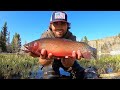 Catch  cook mountain fishing adventure for big cutthroat trout