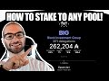 Staking to ANY Cardano Pool with Nami/Eternal - What you need to know   BIG Stake Pool!