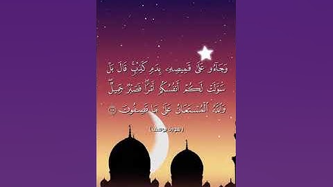 سورة يوسف من الآية ١_٣١ بصوت الشيخ أبو أنس شمس الدين خلف الله