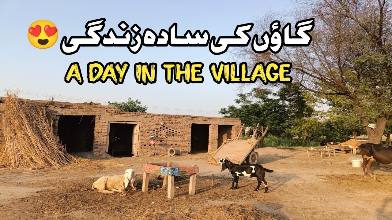 A Day in My Village | Real Pakistani Pind Life | Village Vlog|| Rural living vibes 