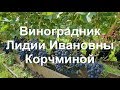 Алтайский край. #Барнаул. 2019 год. #Виноградник Лидии Ивановны Корчминой