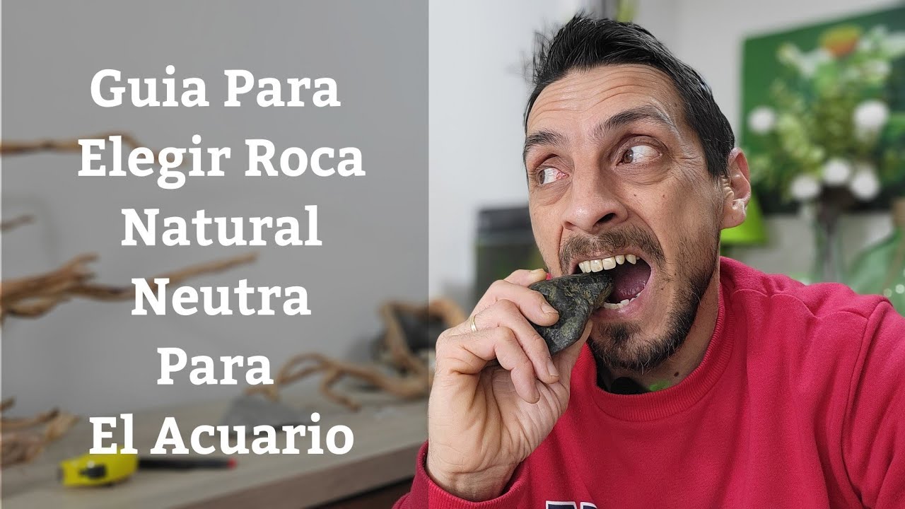 🔵 Como Elegir Rocas Naturales Neutras Para El Acuario (Acuarios MB)