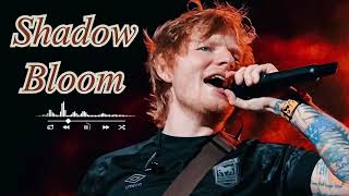 Shadow Bloom - ED Sheeran ( Official Audio ) #edsheeran