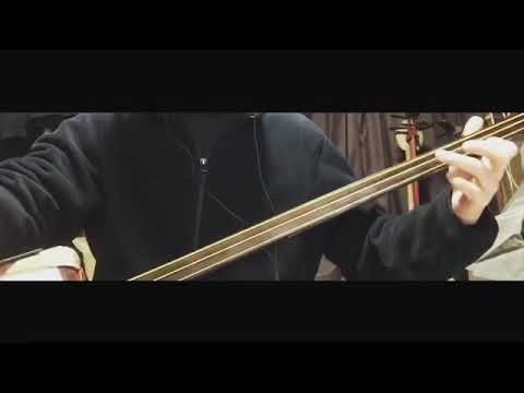 鬼滅の刃　紅蓮華　三味線　弾いてみた
