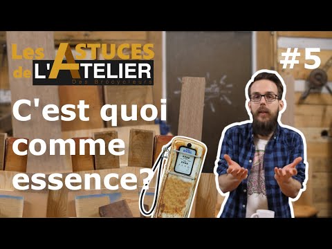 05 - C'EST QUELLE ESSENCE DE BOIS? ?⛽ - Comment et pourquoi...