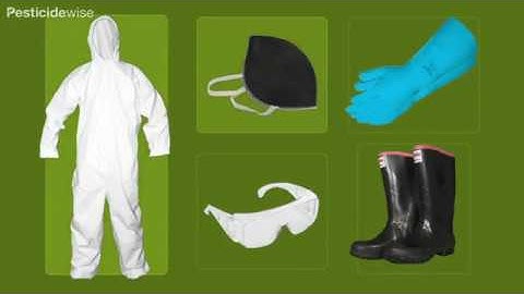 Spot spraying insecticides/fungicides with a knapsack sprayer