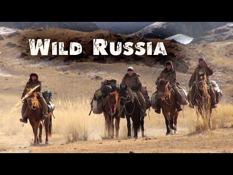 Дикий Алтай. Wild Russia (Снежный барс) В заповедном Аргуте. Сибирь. Кабарга. Заповедный спецназ