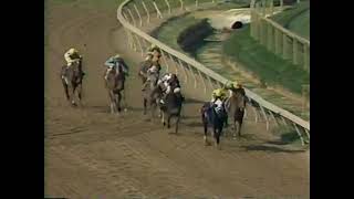 Pimlico Special - 1991 - D. Wayne Lukas - Farma Way - Summer Squall - Jolie's Halo - Baltimore, MD.