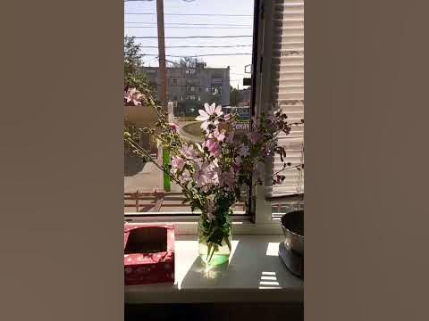 Естетик герл - YouTube