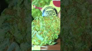 Money Shot: Platinum Bubba Kush