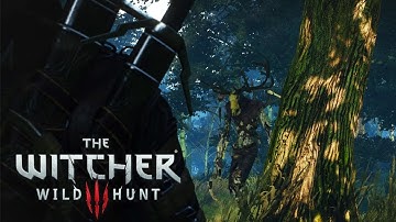 KERNUN BOSS FIGHT - The Witcher 3: Wild Hunt