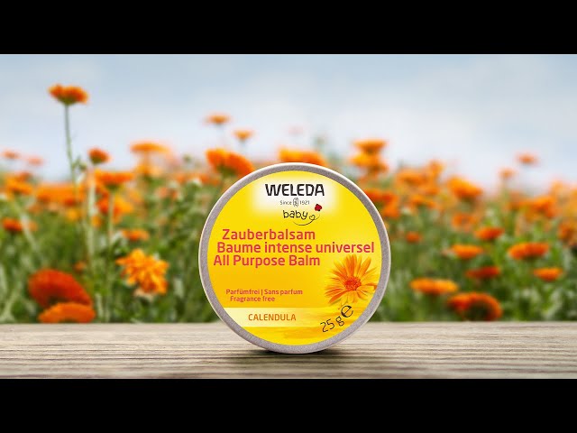 Weleda Calendula All Purpose Balm 