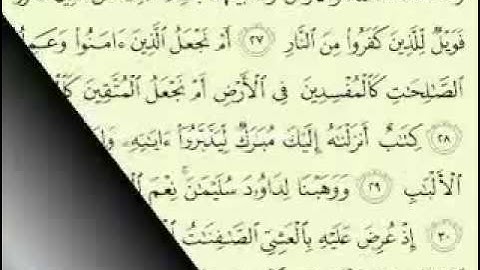 سورة ص مكتوبة كاملة ماهر المعيقلي  surah Maher Almuaiqly surah quran