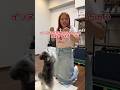 イヌ嫌いな女がエサをあげてみた #犬のいる暮らし