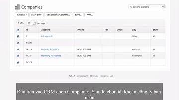 Infusionsoft Việt Nam_Company Record Overview