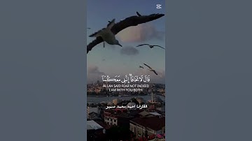 قالا لا تخافا القارئ احمد محمد سمير تلاوة رائعه #القرآن_الكريم #اكسبلور #خشوع