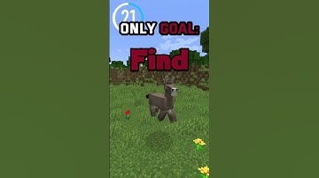 Minecraft But I Change Mobs Every 30 Seconds...