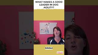 What Makes a Good Leader in Dog Agility | Dog Agility Training | Dog Agility #dog #dogshorts