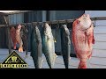 Epic spearfishing the Southern tip of Africa! [Catch Cook] Struisbaai, South Africa