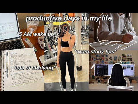 5 am productive morning routine ☁️ FINALS WEEK study tips, getting my life together & adulting