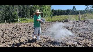 Preparando a terra com calcário para plantio do milho 🌽 by Rancho Leguminoso 225 views 3 months ago 2 minutes, 30 seconds