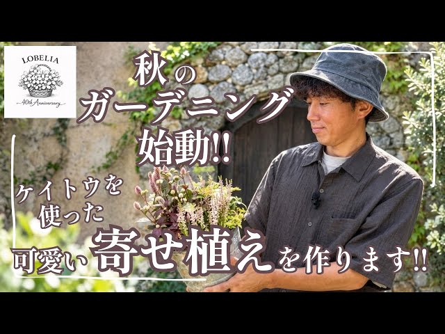 Easy Summer White Container Garden - YouTube