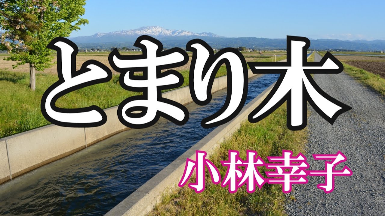 小林 幸子 の 止まり 木