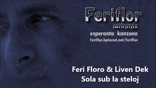 sola sub la steloj
