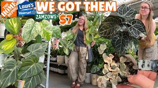 😱NEW $7 RARE big box store plant finds @ Home Depot & Lowe's 🛍️