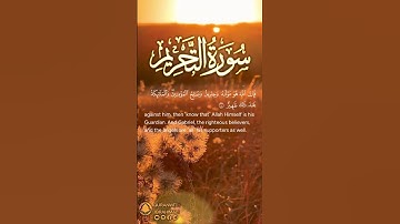 سورة التحريم آية ٤ | ﴿ إن تتوبا إلى الله فقد صغت قلوبكما ﴾ | Surah At Tahrim Ayat 4