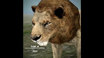 ✨9 Top my favourite Animals🌟|Wild Animals Online