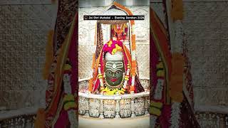 🔥 Aaj evening ka vibe – Mahakal ka divine tribe#ujjain #shorts #like #mahakal #mahadev #bholenath