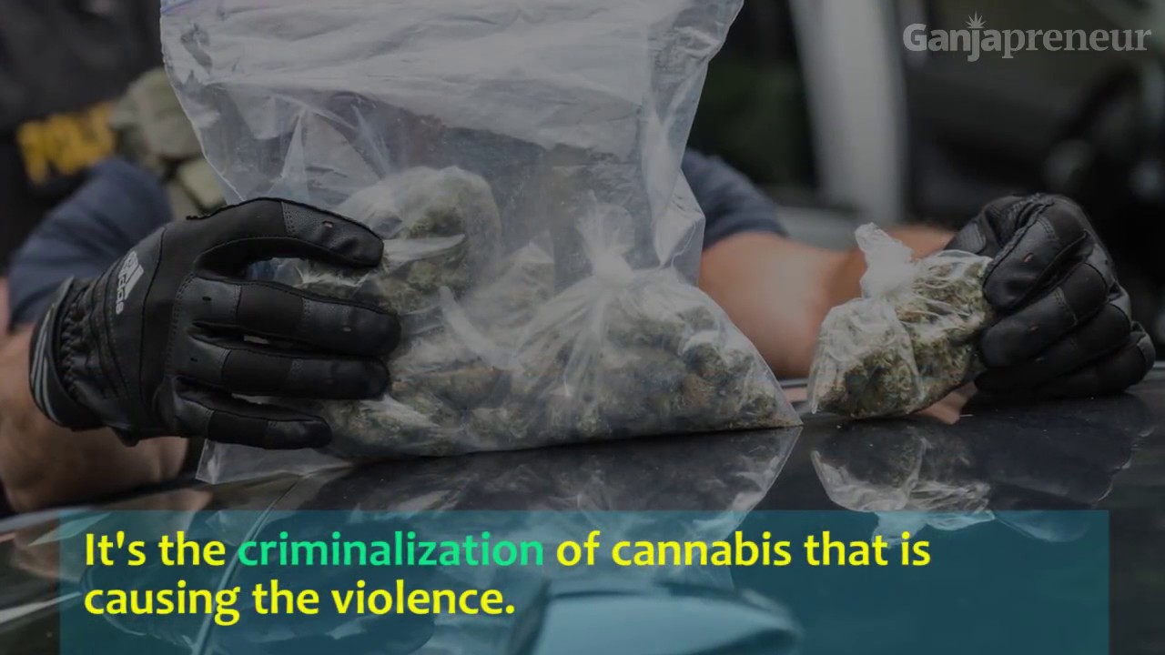 The Dangers of Marijuana