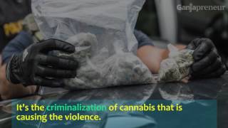 The Dangers of Marijuana