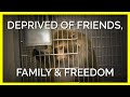 Monkeys imprisoned at uw are deprived of friends family and freedom