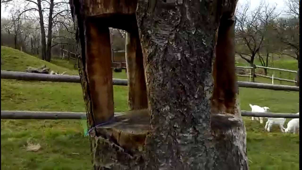 Carved Bird Feeder Youtube