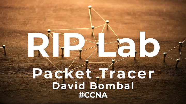 Cisco CCNA Packet Tracer Ultimate labs: RIP routing lab: Can you complete the lab?