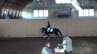 Showtime RR CH Feldtest_20111005_Reiten