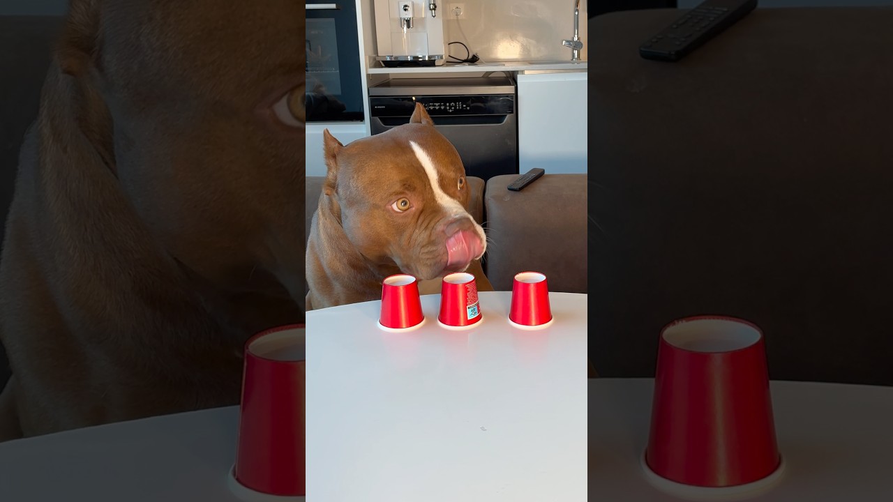 Did you get it right?