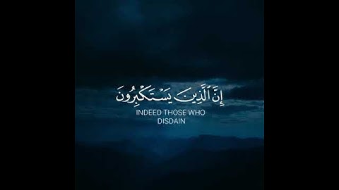 قران كريم | بصوت القارئ عبدالله الموسى | حالات واتس اب♥♥.