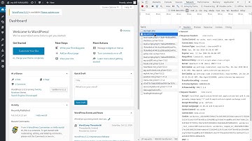 WordPress Login Cookie