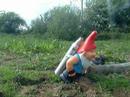 Gnomicide