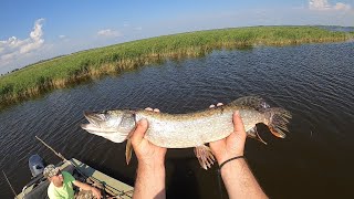 Рыбалка на Кастинговую Сеть в "День Рыбака" оказалась зачётной!?!