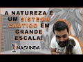 #001 Nagunda - Cidades, Ciência e Política feat - Daruã Valente , @ciencialogia_scienceteam